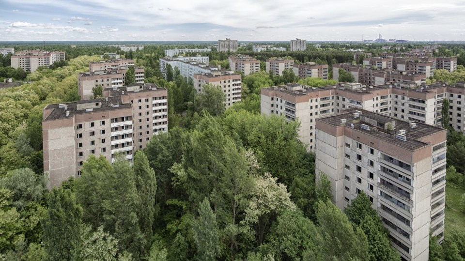 Město Pripjať se siluetou černobylské elektrárny na obzoru postupně pohlcuje zeleň
